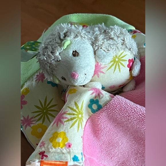 Taggies Hedgehog Lovey Baby Security Blanket - Picture 8 of 13